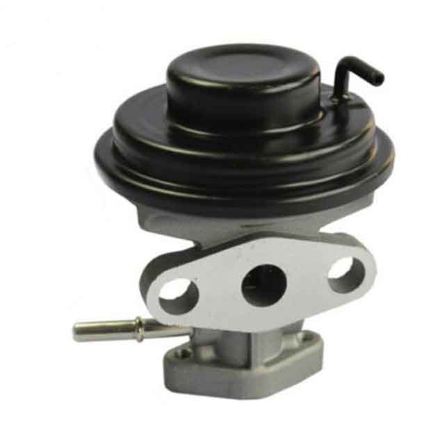 exhaust gas recirculation valves